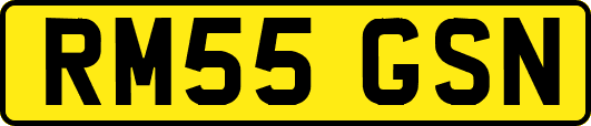 RM55GSN