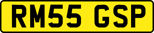 RM55GSP