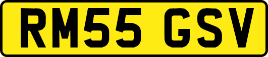 RM55GSV
