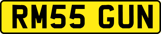 RM55GUN