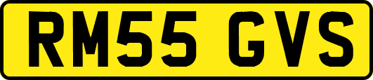 RM55GVS
