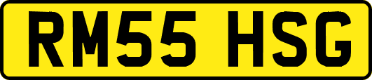 RM55HSG