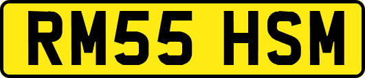 RM55HSM