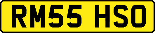 RM55HSO