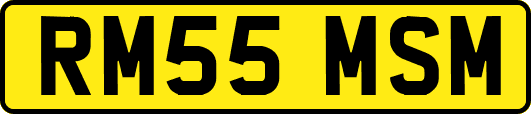 RM55MSM