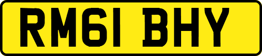RM61BHY