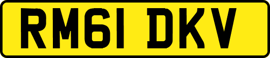 RM61DKV