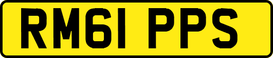 RM61PPS