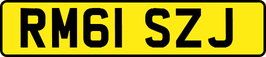 RM61SZJ