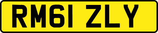 RM61ZLY