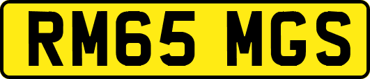 RM65MGS