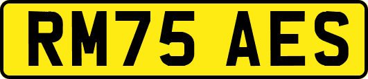 RM75AES