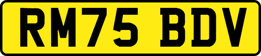 RM75BDV