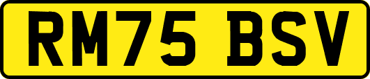 RM75BSV