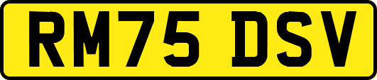 RM75DSV