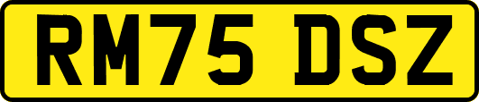 RM75DSZ