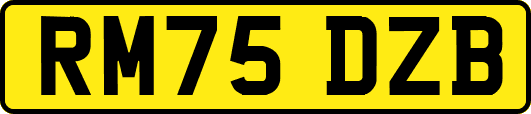 RM75DZB