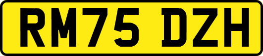RM75DZH