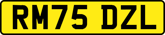 RM75DZL