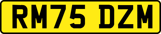 RM75DZM