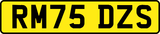 RM75DZS