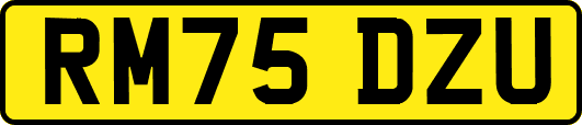 RM75DZU
