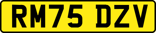 RM75DZV