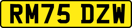 RM75DZW