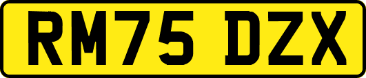 RM75DZX