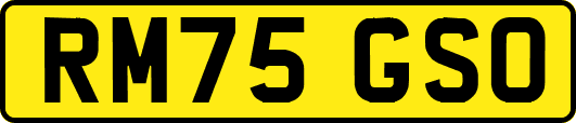 RM75GSO