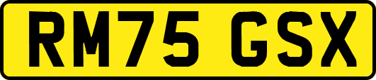 RM75GSX
