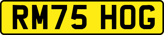 RM75HOG