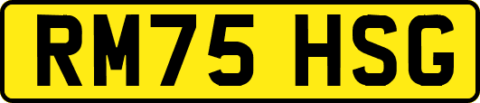 RM75HSG