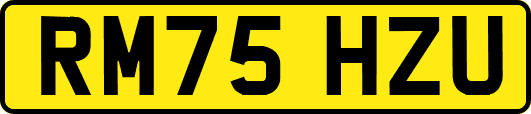 RM75HZU