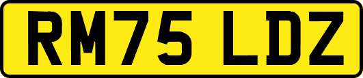 RM75LDZ