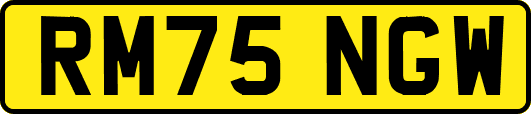RM75NGW