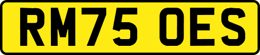RM75OES