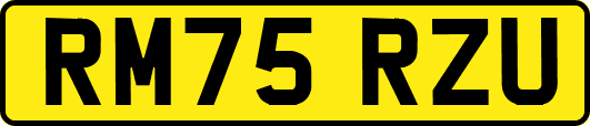 RM75RZU