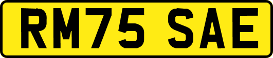 RM75SAE