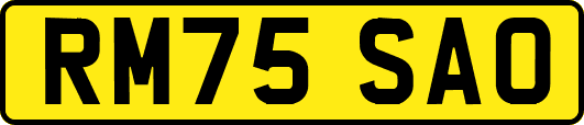 RM75SAO