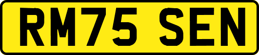 RM75SEN