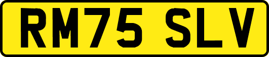 RM75SLV