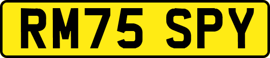RM75SPY