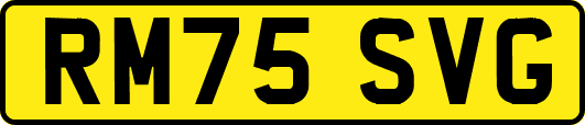 RM75SVG