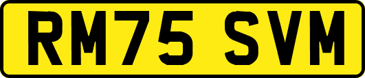 RM75SVM