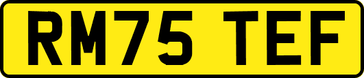 RM75TEF