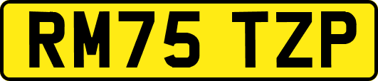 RM75TZP