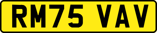RM75VAV