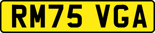 RM75VGA
