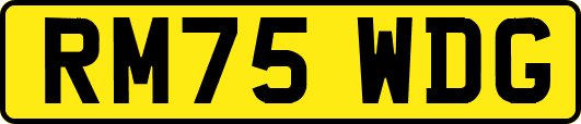 RM75WDG
